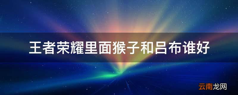 王者荣耀里面猴子和吕布谁好