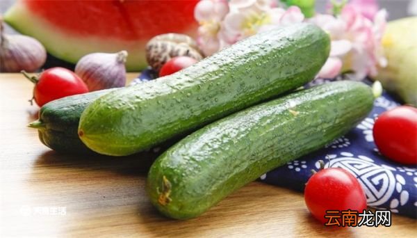 荷兰黄瓜可以生吃吗 荷兰小黄瓜可以生吃吗