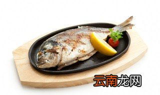 吃鱼正宗做法 怎样做鱼最好吃