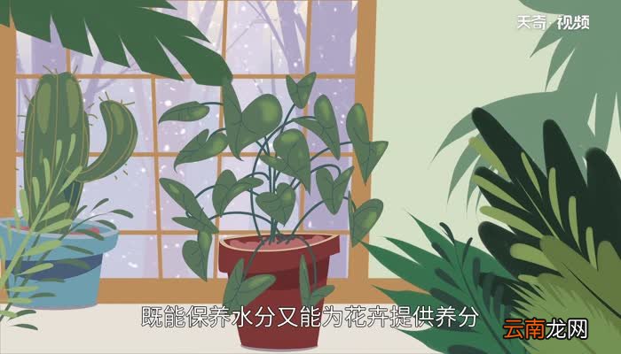 鸡蛋壳能吃吗 鸡蛋壳如何吃