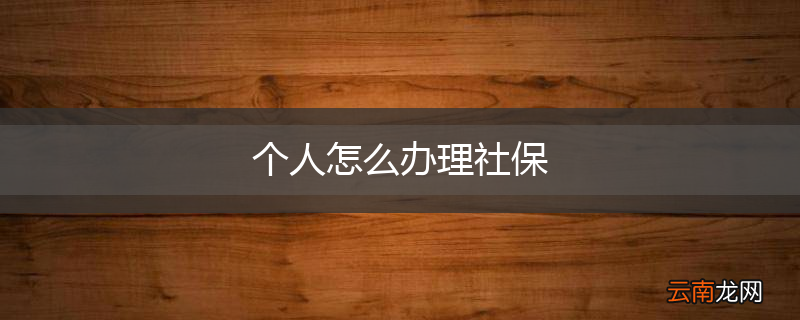 个人怎么办理社保