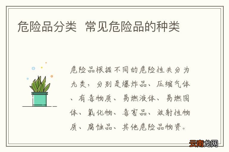 危险品分类常见危险品的种类