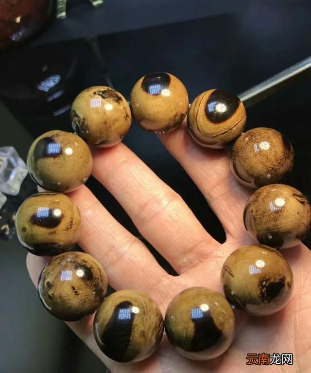 什么是海柳水膜角 什么是海柳