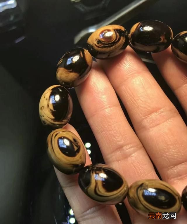 什么是海柳水膜角 什么是海柳