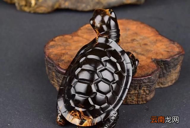 什么是海柳水膜角 什么是海柳