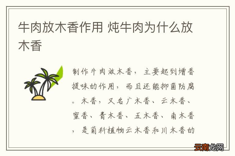 牛肉放木香作用 炖牛肉为什么放木香