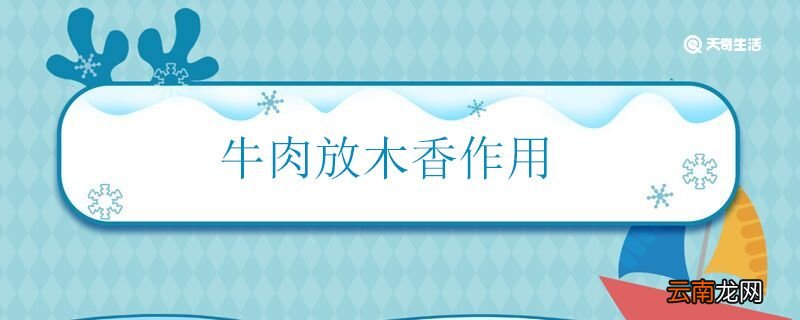牛肉放木香作用 炖牛肉为什么放木香