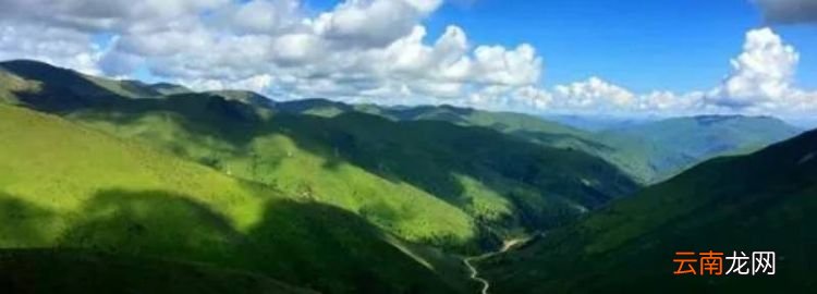 乃龙山垭口在哪个地方，介绍一种仪征特产写作文怎么写