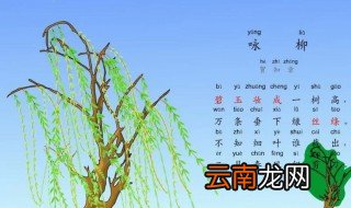 咏柳的咏是啥意思 咏柳古诗介绍