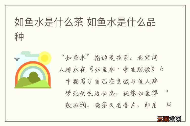 如鱼水是什么茶 如鱼水是什么品种