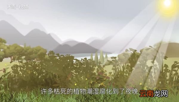 大暑是最热的时候吗 三伏天最热的时候是大暑吗