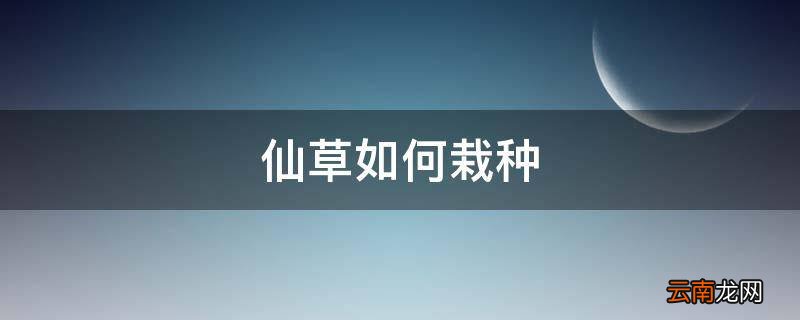 仙草如何栽种