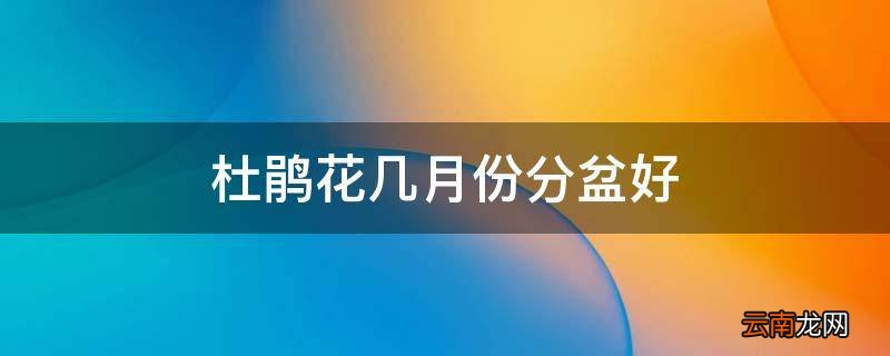 杜鹃花几月份分盆好