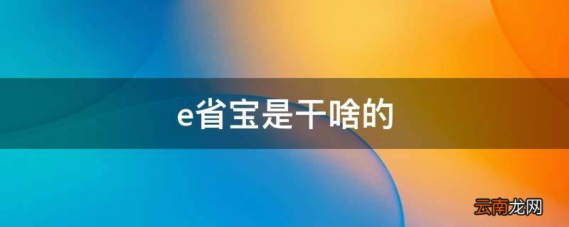 e省宝是干啥的