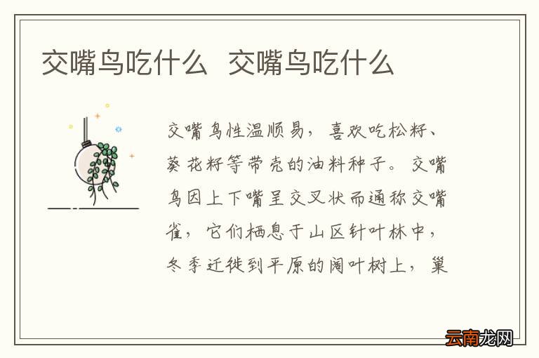 交嘴鸟吃什么交嘴鸟吃什么