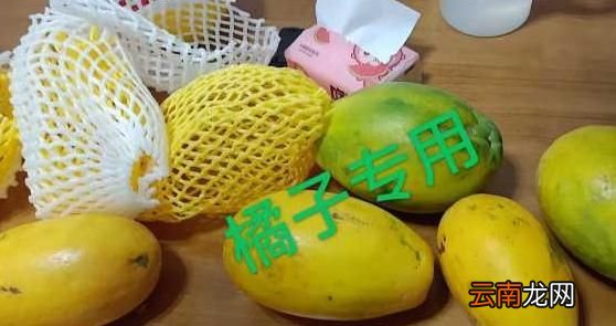 在哪里买水果最好又快,买水果在哪里买最好