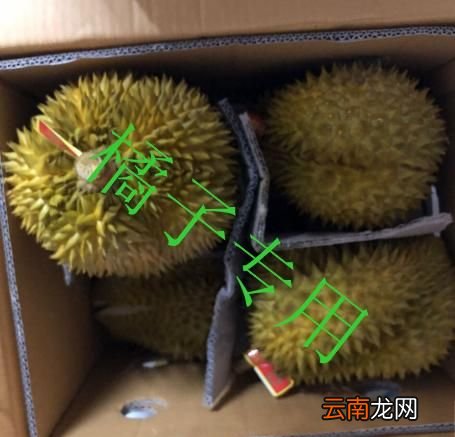 在哪里买水果最好又快,买水果在哪里买最好