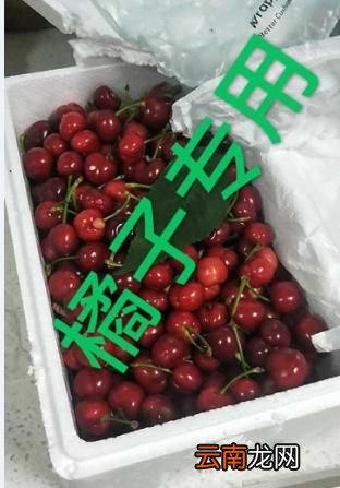 在哪里买水果最好又快,买水果在哪里买最好