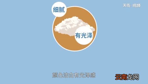 淀粉和生粉一样吗 淀粉和生粉区别