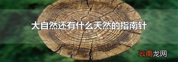 大自然还有什么天然的指南针