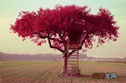 2 春天应注意四种疾病