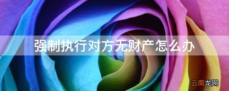 强制执行对方无财产怎么办
