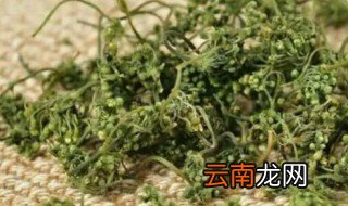 人参花一次需要泡几朵 人参花茶一次泡几朵