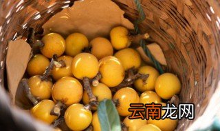 枇杷怎样放熟得快 摘下来的枇杷怎么催熟