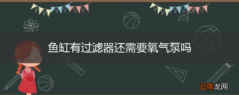 鱼缸有过滤器还需要氧气泵吗