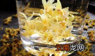 铁皮干花泡茶一次泡几朵，铁皮石斛泡水一次几粒