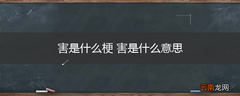 害是什么梗 害是什么意思