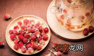 红巧梅茶一次泡几朵，红巧梅用多少度开水泡