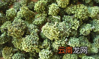 泡三七花一次能放几朵 泡三七花一次能放几朵水