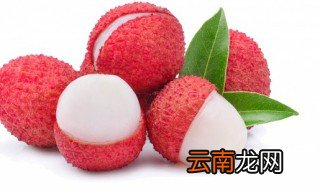 荔枝里面的虫是怎样进去的 荔枝为什么会长虫