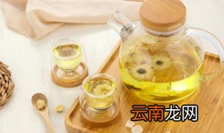 胎菊一次泡几朵为宜 胎菊泡水一天需几粒