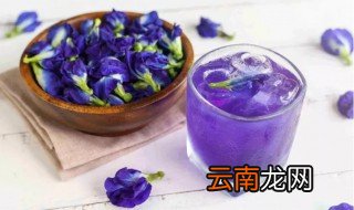 蝶豆花泡水比例 蝶豆花一次泡几朵最好