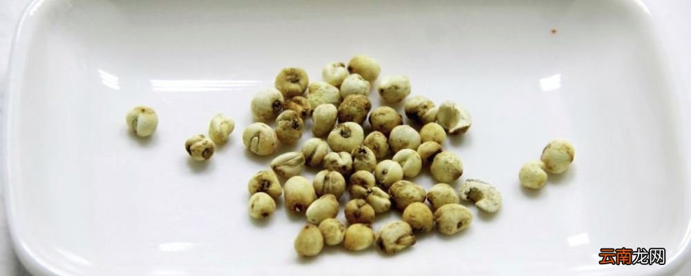 治疗咳嗽小方法 川贝枇杷止咳效果好