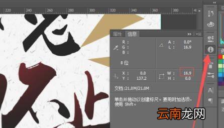 ps怎么测量实际尺寸
