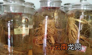 干人参怎样泡酒 干人参如何泡酒