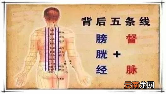 养生必养肾,做好这三招,补肾滋阴效果好