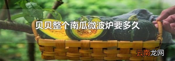 贝贝整个南瓜微波炉要多久