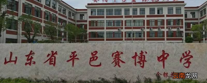 平邑赛博中学初中分数线2021