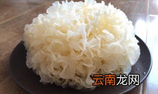 银耳需不需要煮熟 银耳需要开水煮熟吗