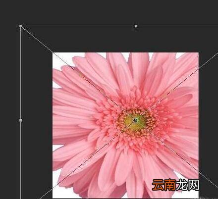 ps缩放图片大小