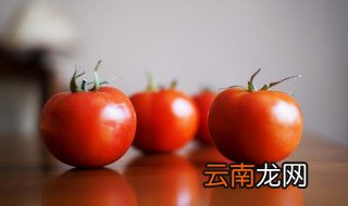 西红柿加什么可以美白牙齿 西红柿加什么能美白牙齿