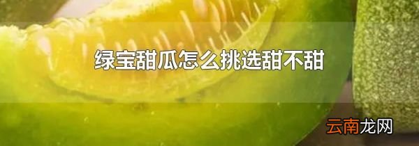绿宝甜瓜怎么挑选甜不甜