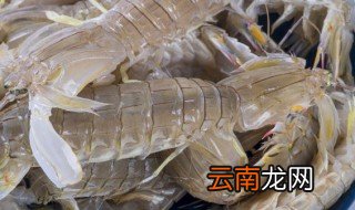 皮皮虾沾什么调料好吃 皮皮虾沾什么调料好