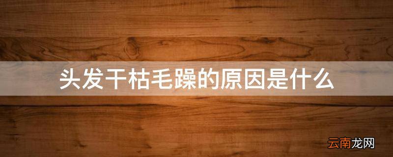 头发干枯毛躁的原因是什么