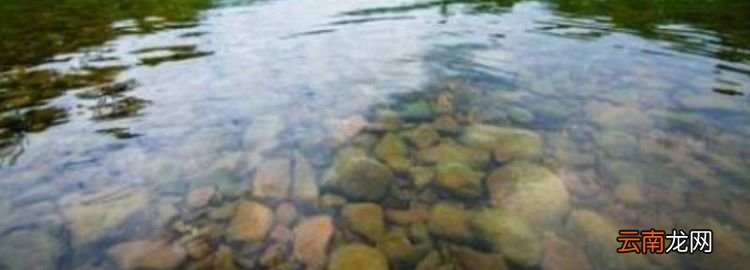 保护河流的建议0条，我们可以为保护河流做些什么