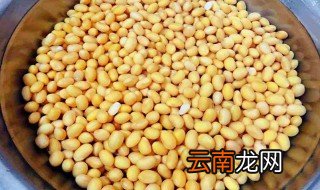 黄豆泡发需要多久 黄豆泡发时间